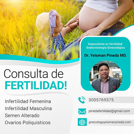 Fertility consultation