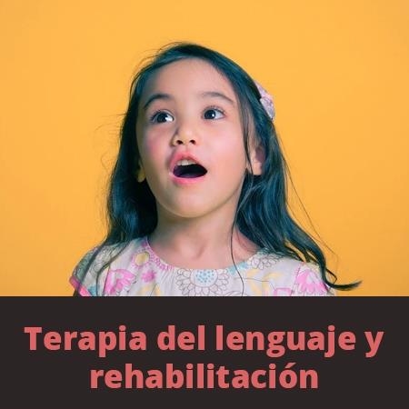 Language therapy and rehabilitation