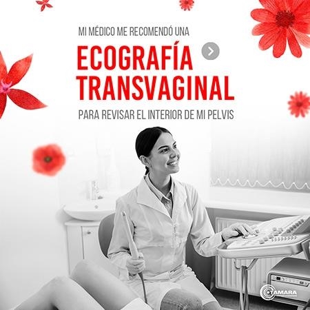 Ecografía transvaginal