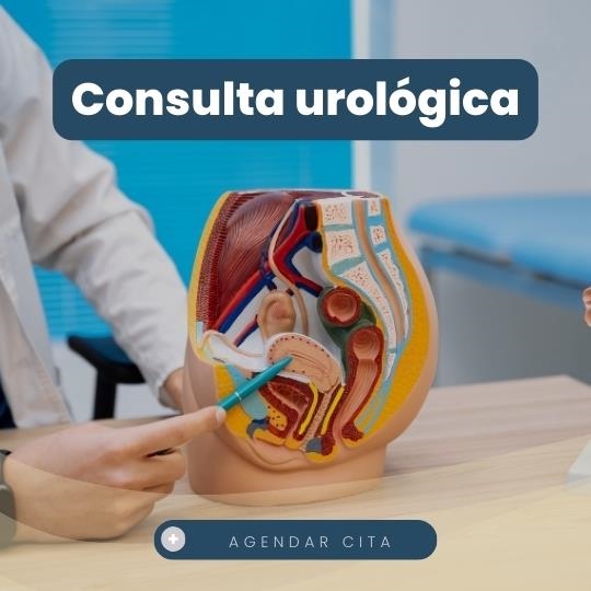 Urological consultations