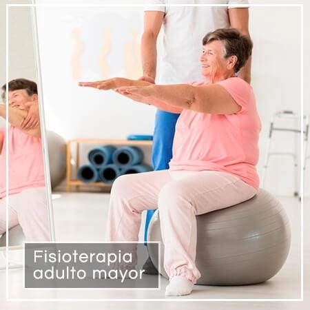 Fisioterapia adulto mayor