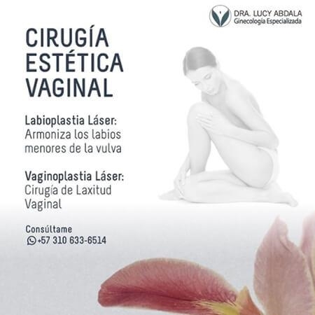 Vaginal cosmetic surgery