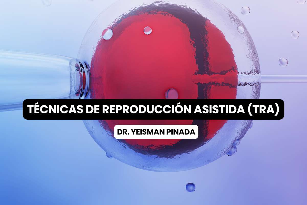 Assisted Reproductive Techniques (ART) explained by Dr. Yeisman Pineda
