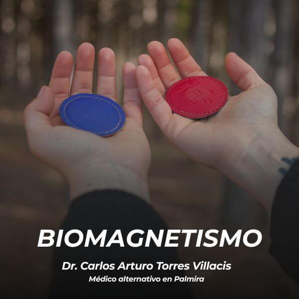 Biomagnetismo
