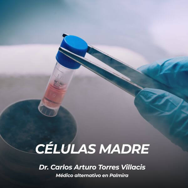 Células madre