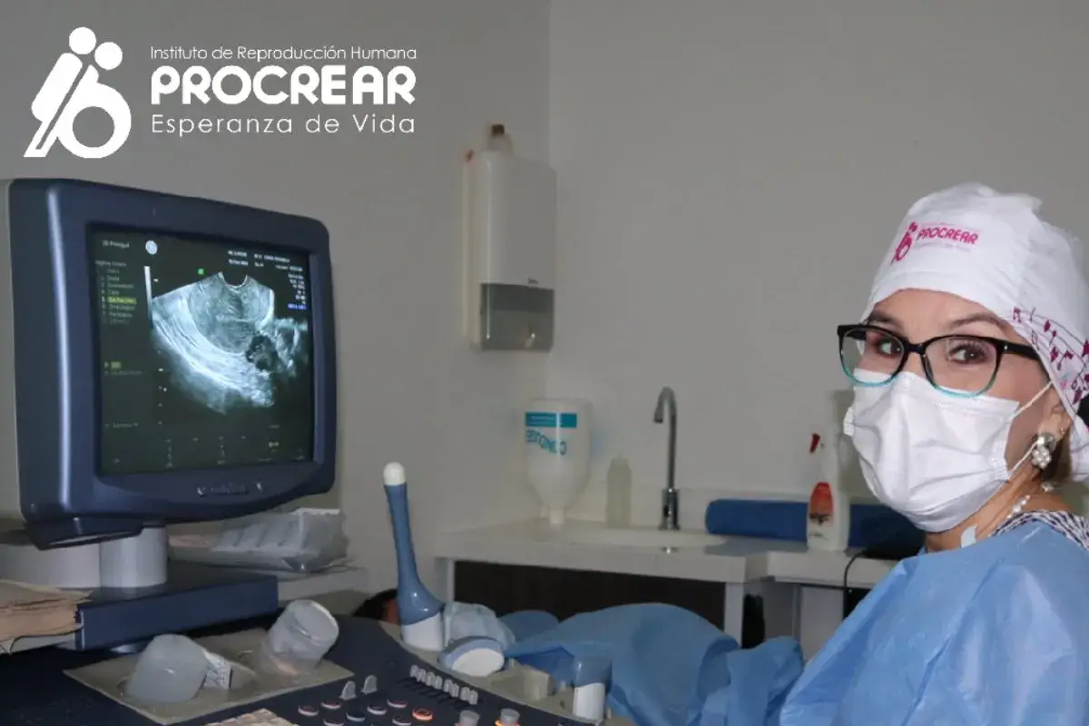 Procrear  #3
