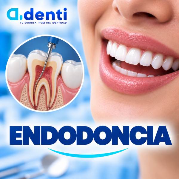 Endodoncia