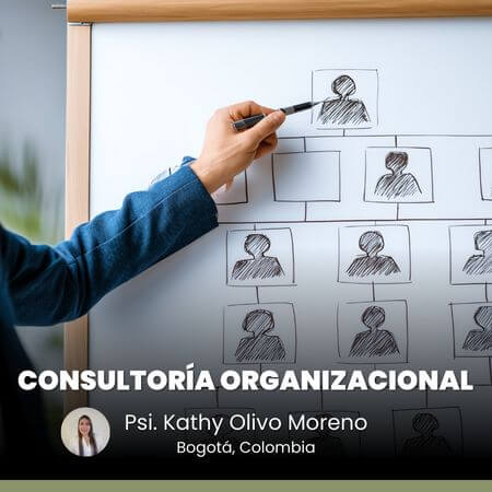 Consultoría Organizacional