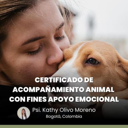 Certificado de Acompañamiento y Apoyo Emocional