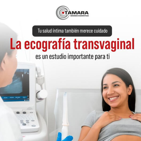 Ecografía transvaginal
