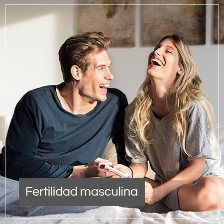 Fertilidad masculina 