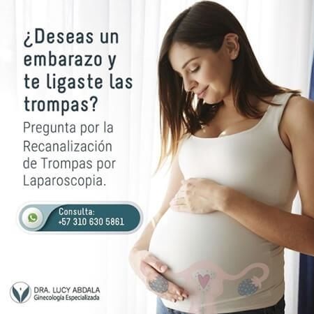 Recanalización de trompas