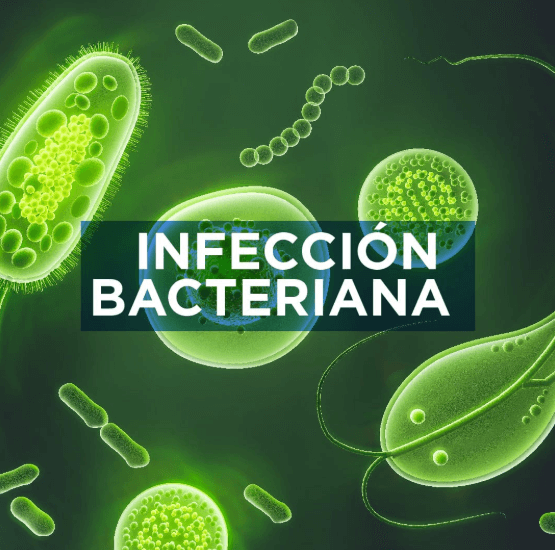 Infección bacteriana