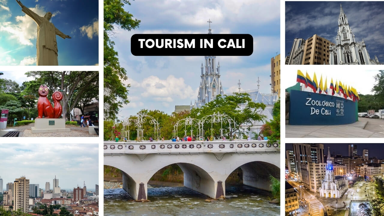 tourism cali